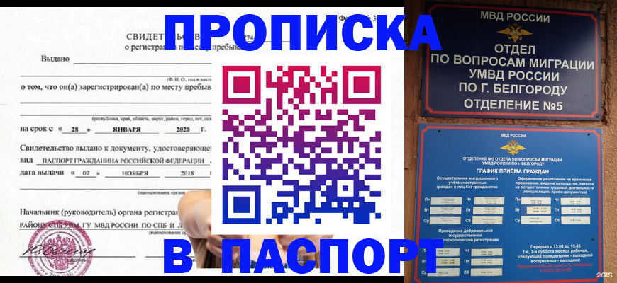 временная регистрация купить в Волгограде